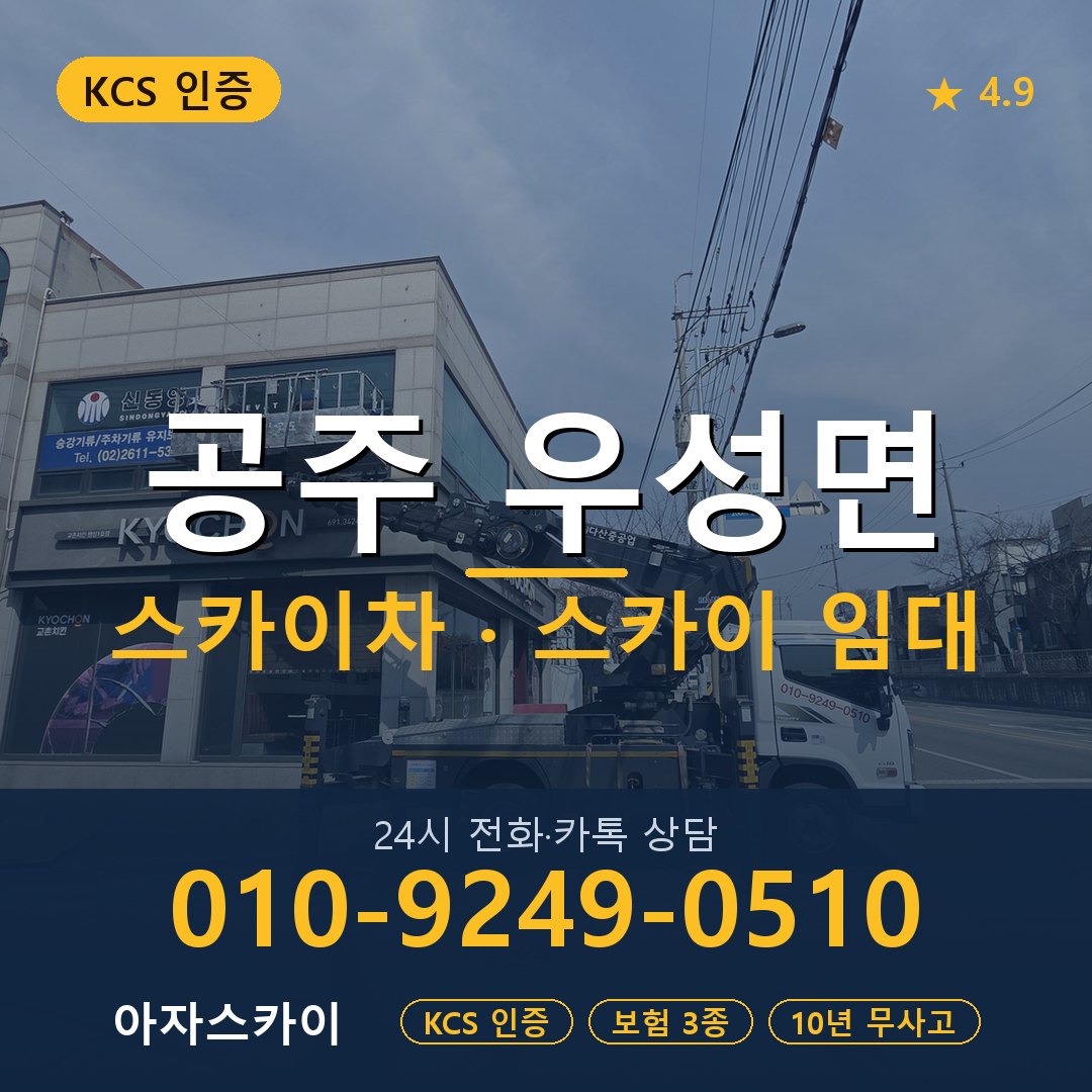 공주 우성면 스카이차 스카이 임대 아자스카이