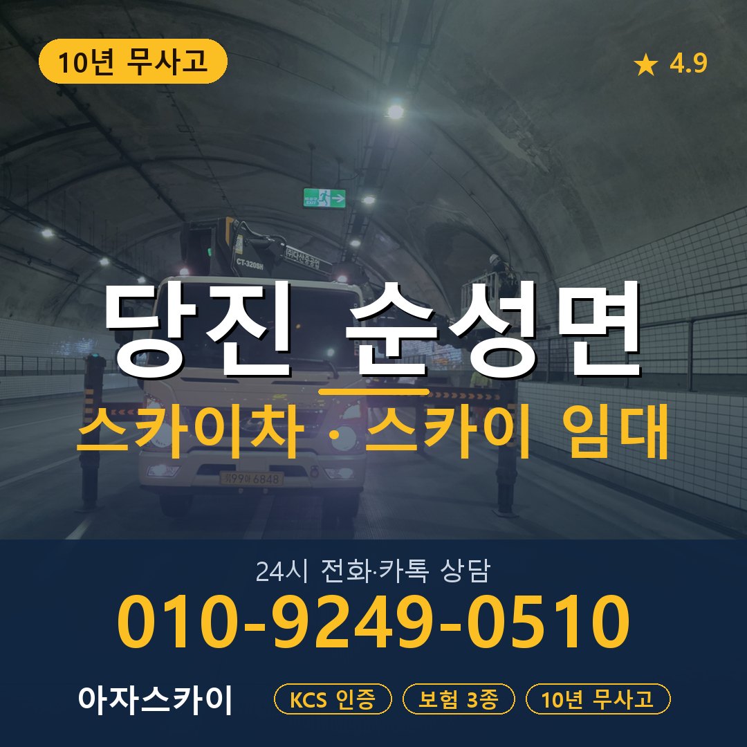 당진 순성면 스카이차 스카이 임대 아자스카이