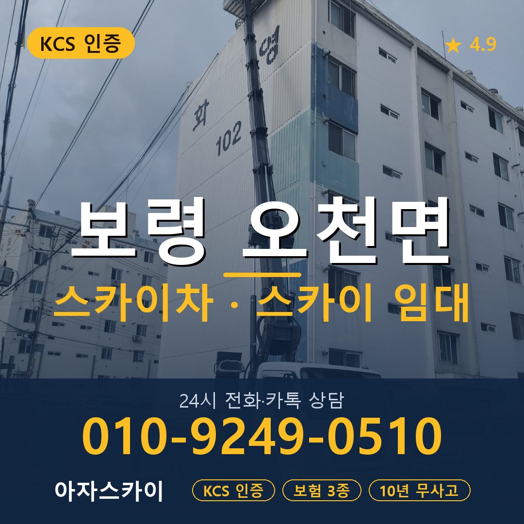 보령 오천면 스카이차 스카이 임대 아자스카이