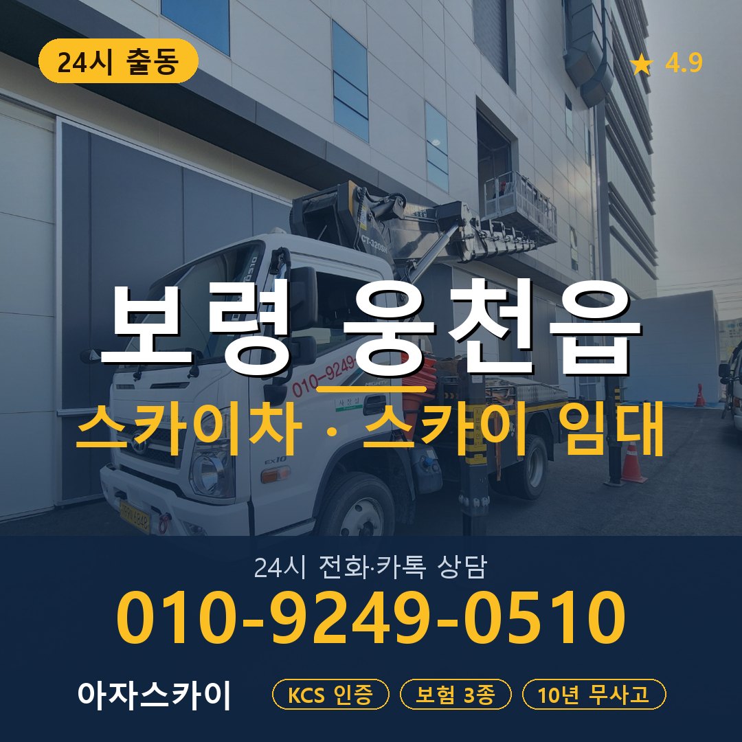 보령 웅천읍 스카이차 스카이 임대 아자스카이