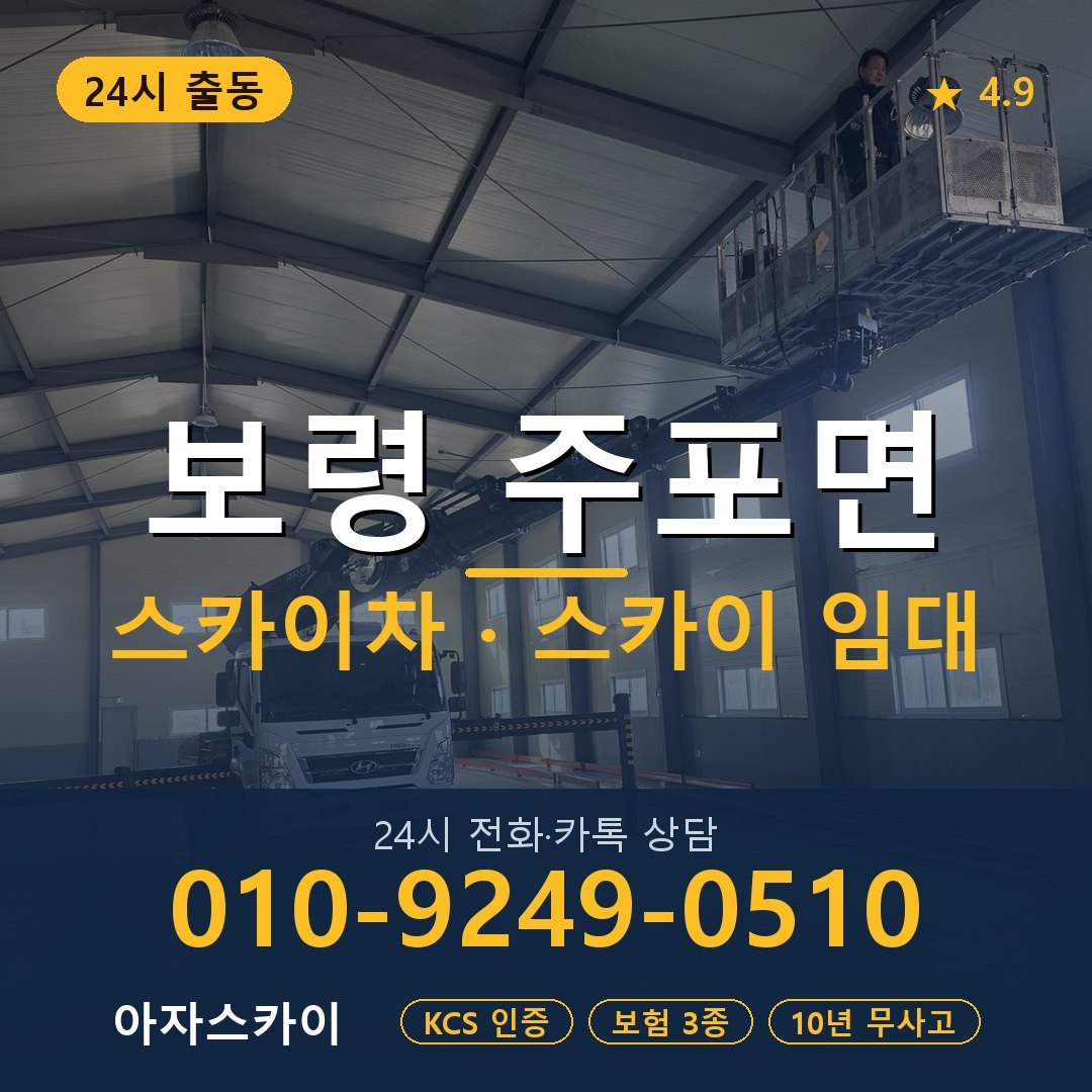 보령 주포면 스카이차 스카이 임대 아자스카이