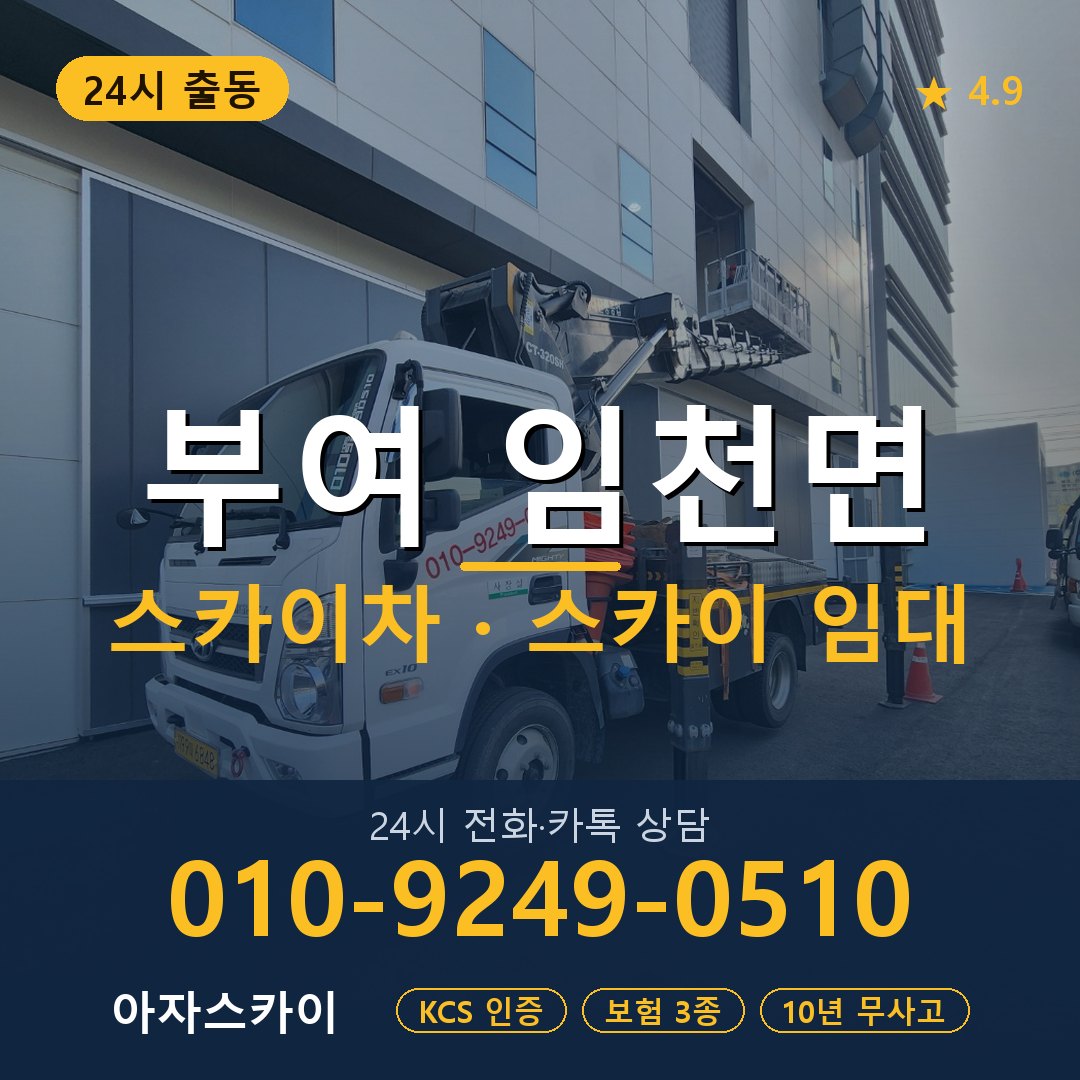 부여 임천면 스카이차 스카이 임대 아자스카이
