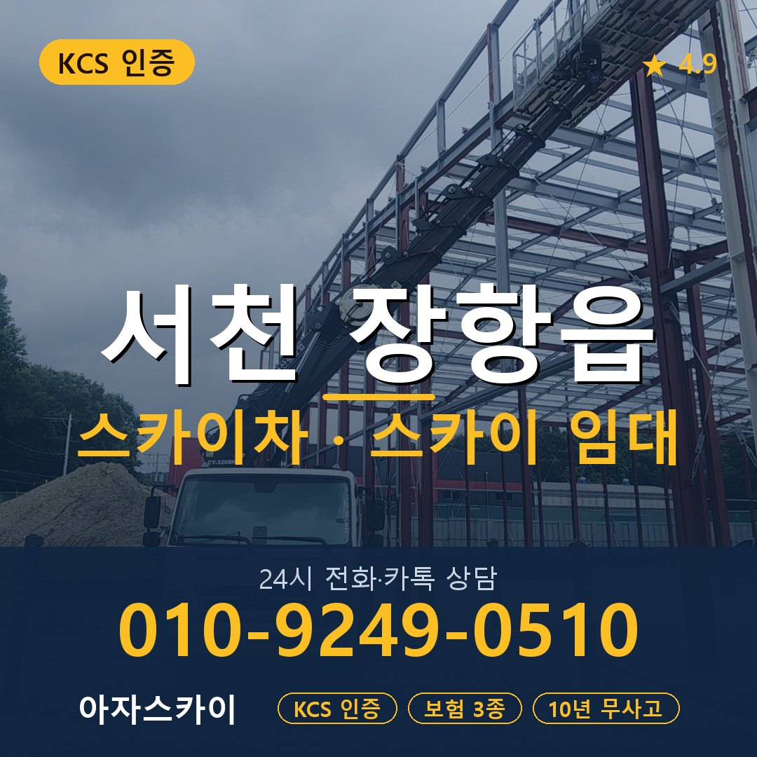 서천 장항읍 스카이차 스카이 임대 아자스카이