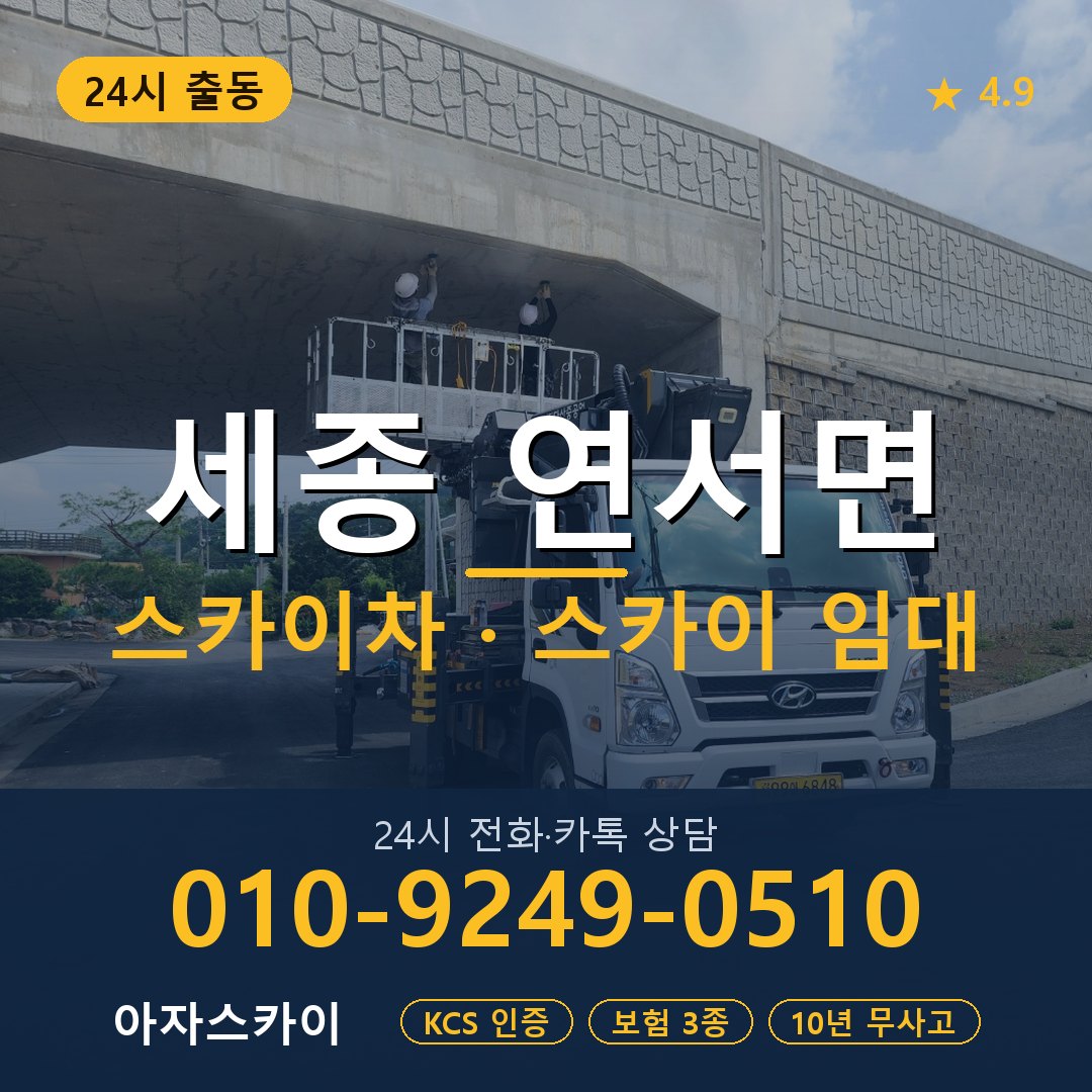 세종 연서면 스카이차 스카이 임대 아자스카이