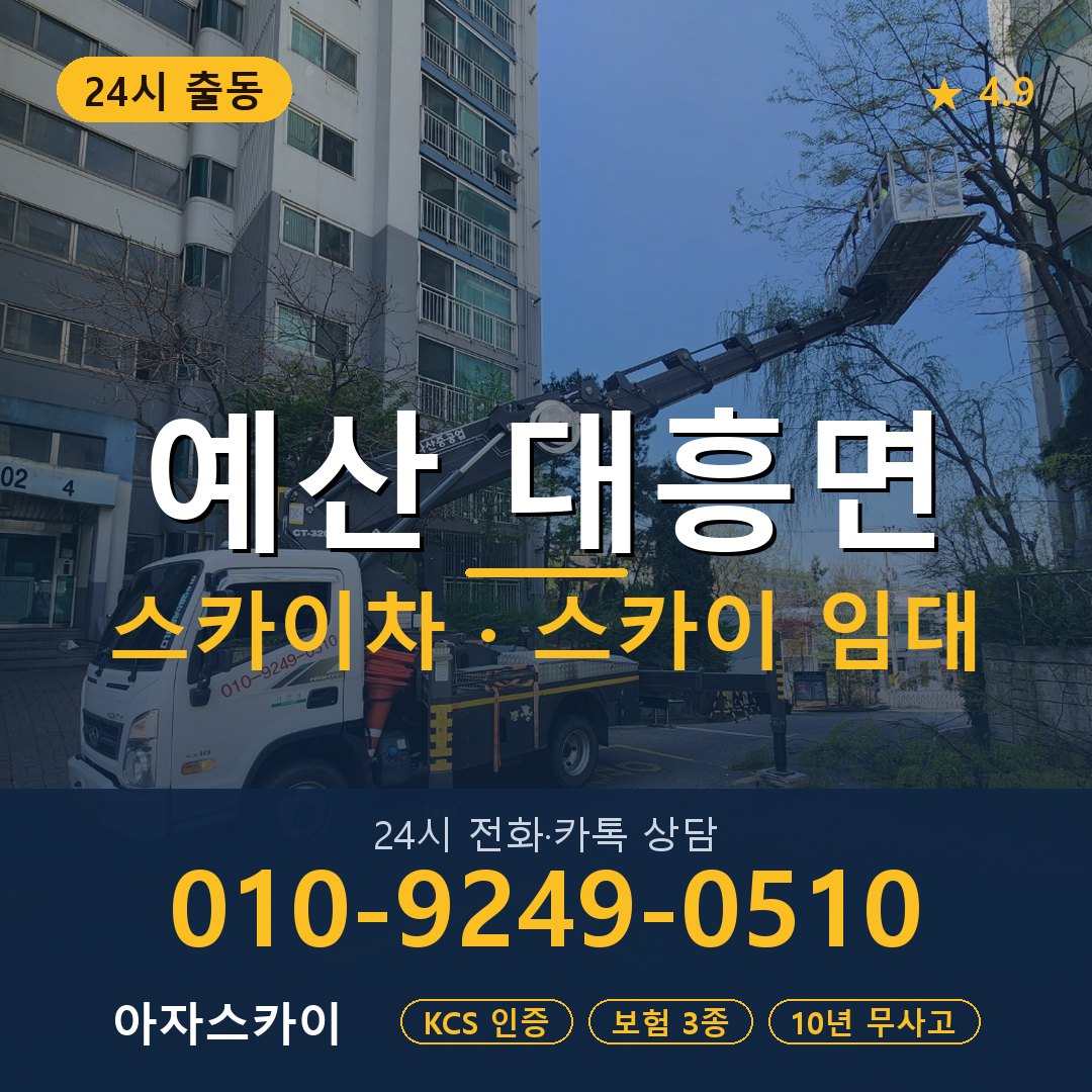 예산 대흥면 스카이차 스카이 임대 아자스카이